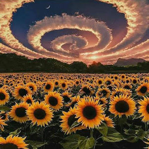 Meet your Posher, Yordanos